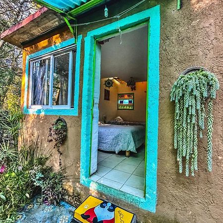 Апартаменты Casa Ecologica Тепостлан Экстерьер фото